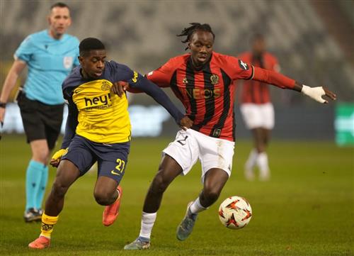 What's a Bingo Game?